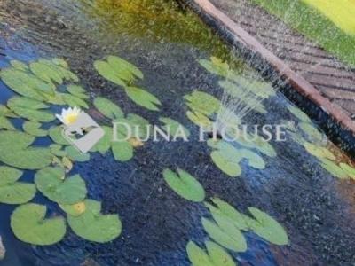 Eladó családi ház Monor