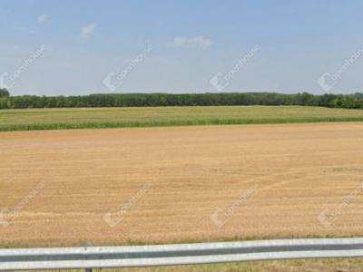 Eladó külterületi telek Péteri