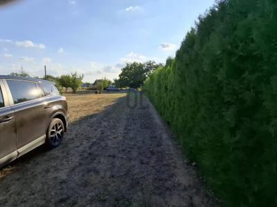 Eladó lakóövezeti telek Dabas