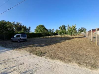 Eladó lakóövezeti telek Dabas