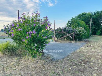 Eladó egyéb telek Debrecen