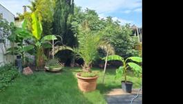 Eladó családi ház Budapest