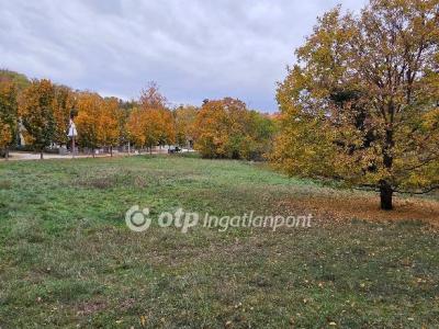 Eladó lakóövezeti telek Balatonföldvár