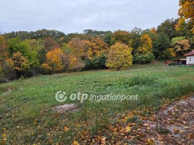Eladó lakóövezeti telek Balatonföldvár