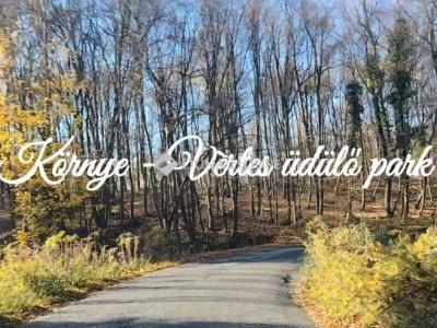 Eladó családi ház Környe