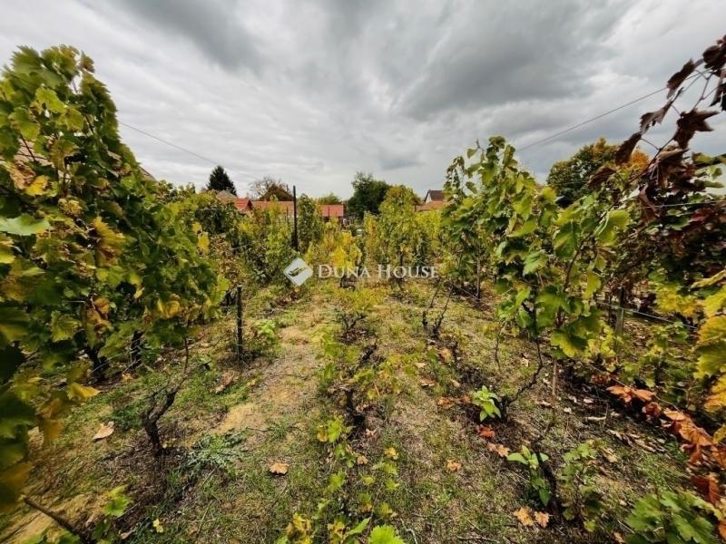 Eladó családi ház Tápiószecső