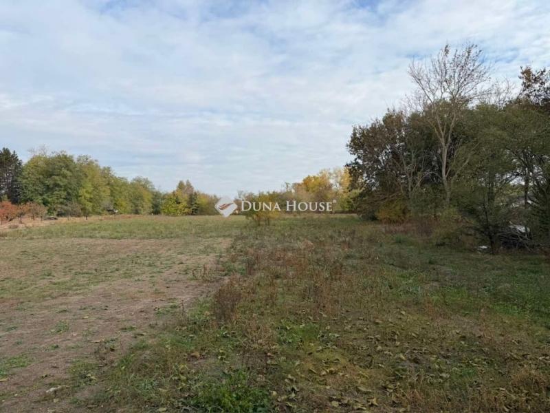 Eladó lakóövezeti telek Albertirsa