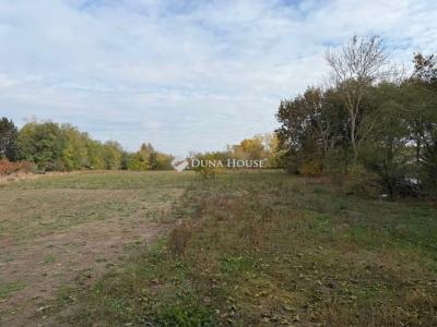 Eladó lakóövezeti telek Albertirsa