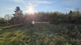 Eladó lakóövezeti telek Tóalmás