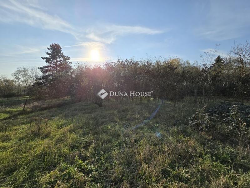 Eladó lakóövezeti telek Tóalmás