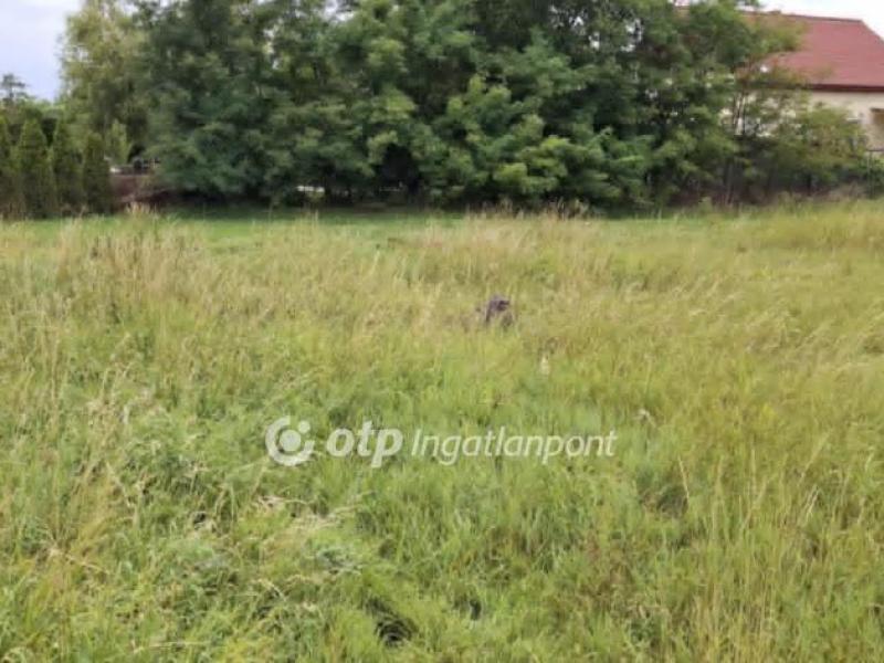 Eladó lakóövezeti telek Pusztaszabolcs