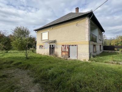 Eladó családi ház Tarnalelesz