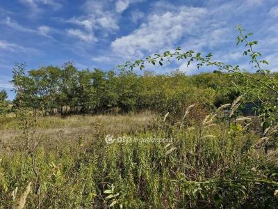 Eladó lakóövezeti telek Szekszárd
