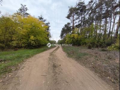 Eladó lakóövezeti telek Szada