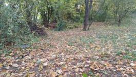 Eladó lakóövezeti telek Solymár