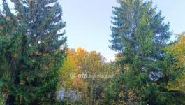 Eladó lakóövezeti telek Solymár