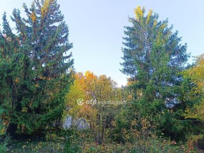 Eladó lakóövezeti telek Solymár