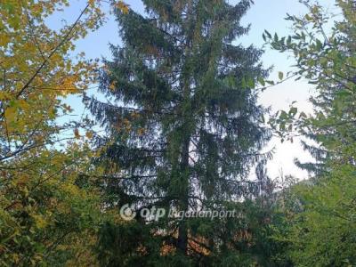 Eladó lakóövezeti telek Solymár