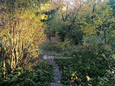 Eladó lakóövezeti telek Solymár