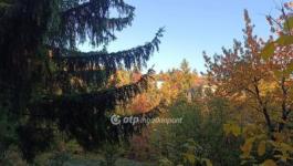 Eladó lakóövezeti telek Solymár