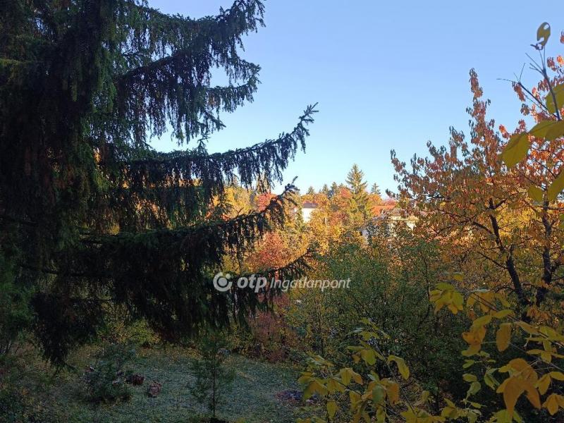 Eladó lakóövezeti telek Solymár