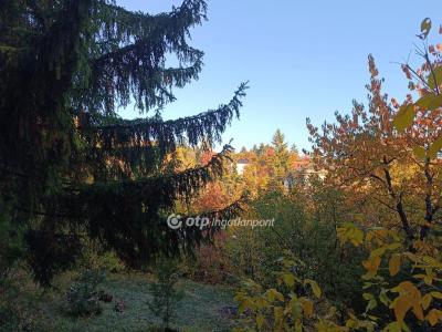 Eladó lakóövezeti telek Solymár