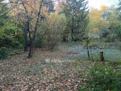 Eladó lakóövezeti telek Solymár