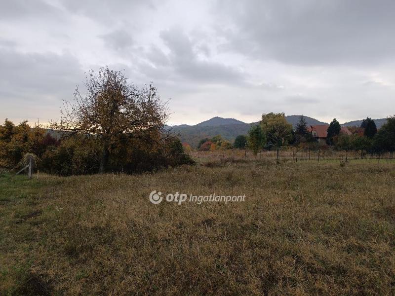 Eladó lakóövezeti telek Solymár