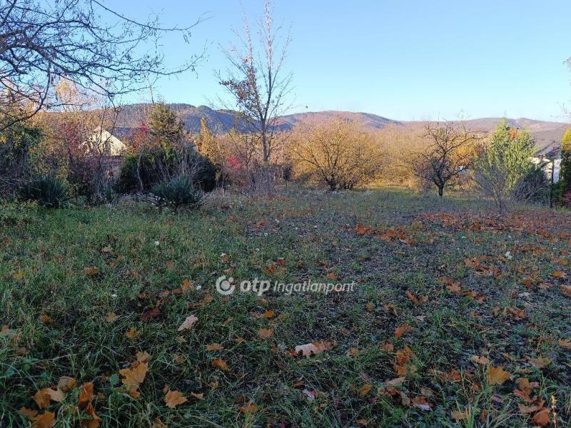 Eladó lakóövezeti telek Solymár