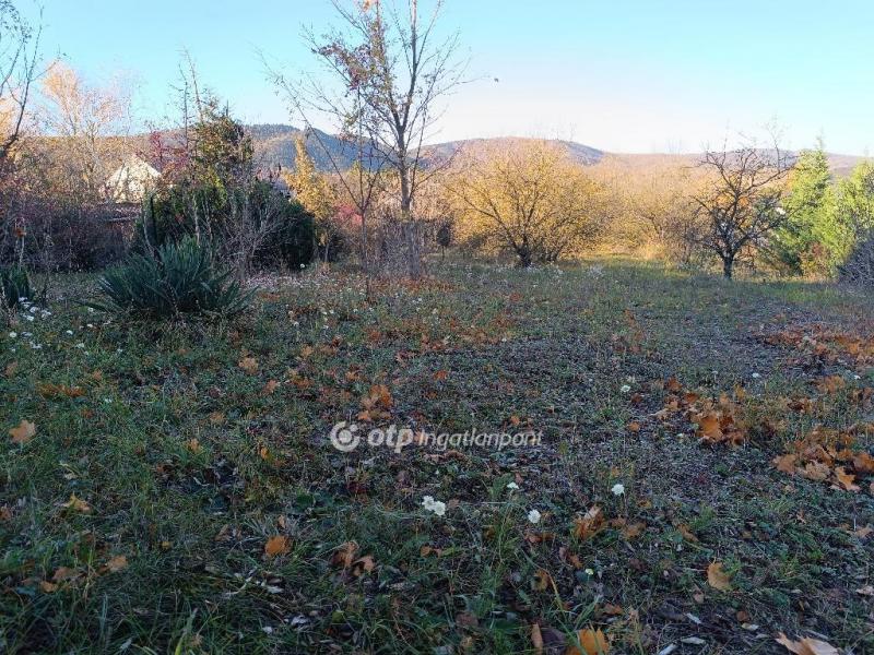 Eladó lakóövezeti telek Solymár