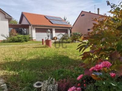 Eladó családi ház Taksony