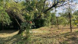 Eladó családi ház Miskolc