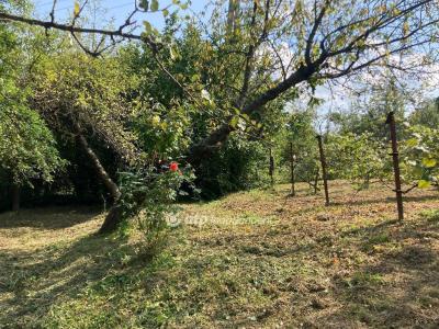 Eladó családi ház Miskolc