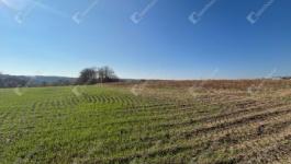 Eladó lakóövezeti telek Gomba