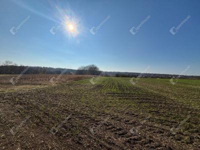 Eladó lakóövezeti telek Gomba