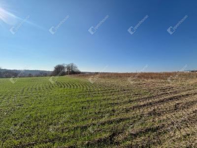 Eladó lakóövezeti telek Gomba