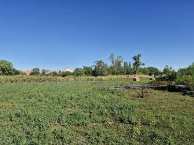 Eladó lakóövezeti telek Abony