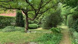 Eladó nyaraló Solymár