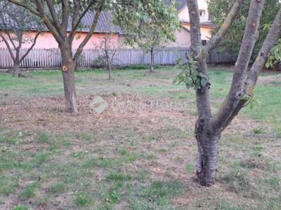 Eladó családi ház Isaszeg