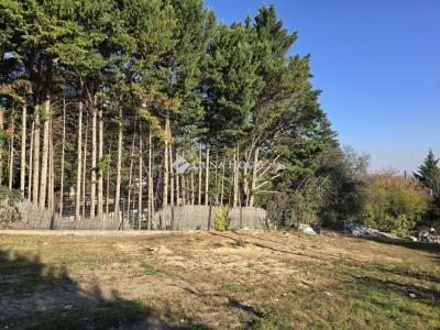 Eladó ikerház Diósd