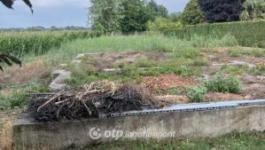 Eladó lakóövezeti telek Csongrád