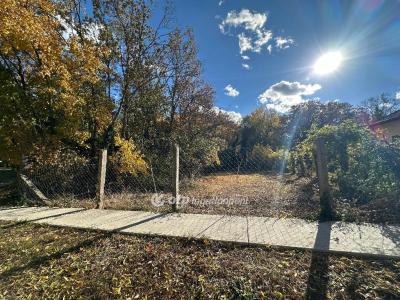 Eladó lakóövezeti telek Derekegyház