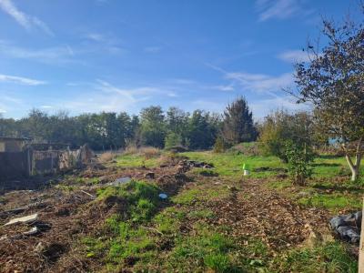 Eladó lakóövezeti telek Napkor