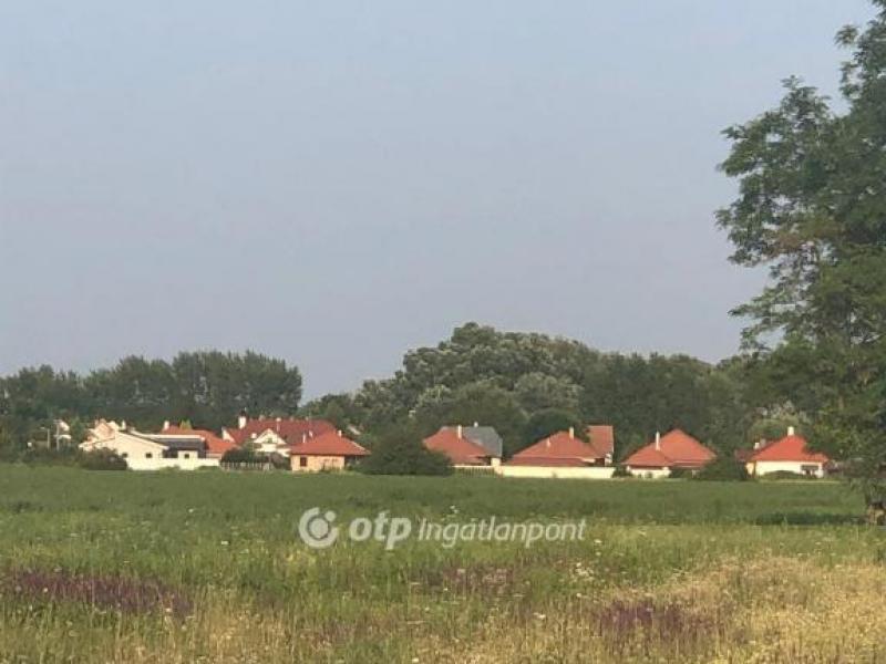 Eladó lakóövezeti telek Gyula