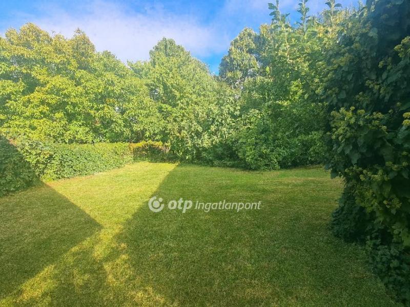 Eladó családi ház Dömsöd