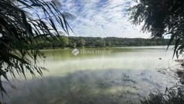 Eladó családi ház Gomba