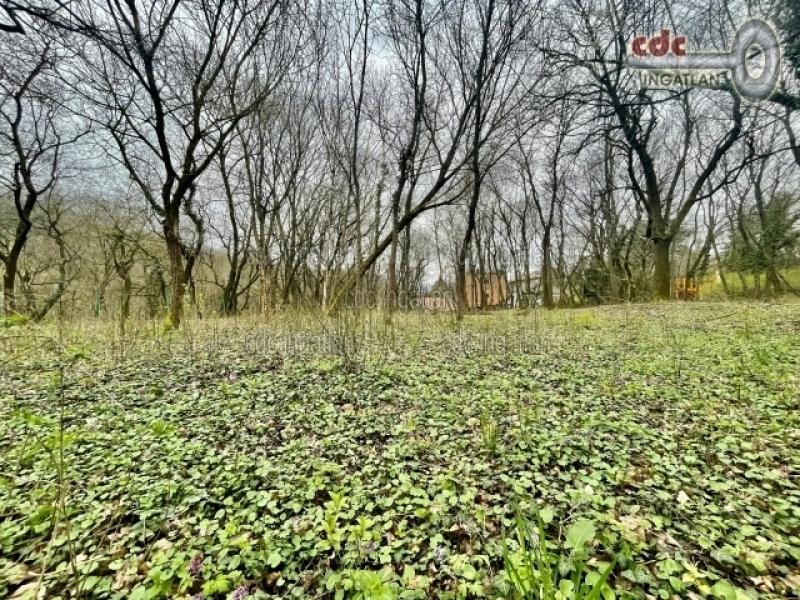 Eladó lakóövezeti telek Budapest