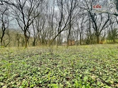 Eladó lakóövezeti telek Budapest