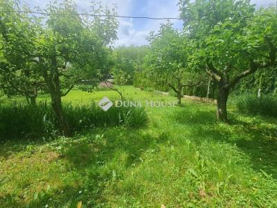 Eladó családi ház Zalaegerszeg