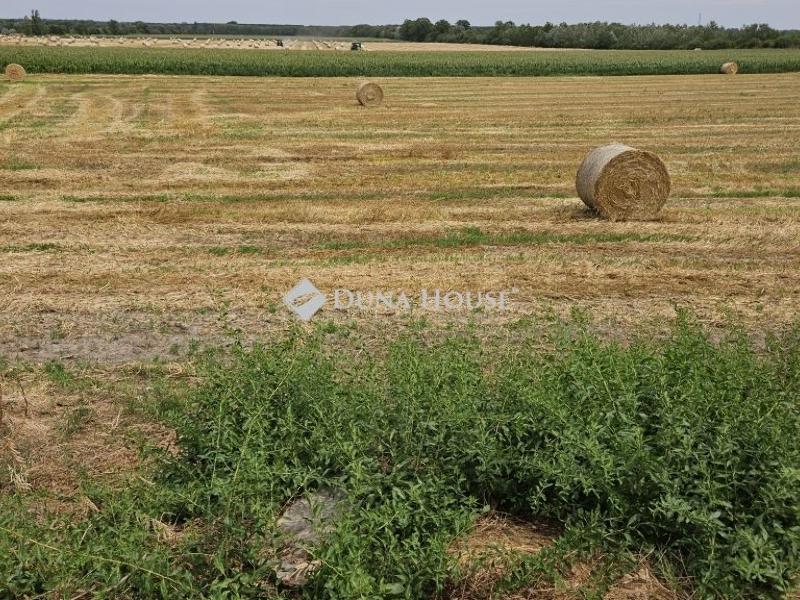 Eladó lakóövezeti telek Iváncsa